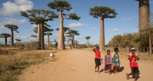 Reisesicherheit und Verhaltensweisen in Madagaskar