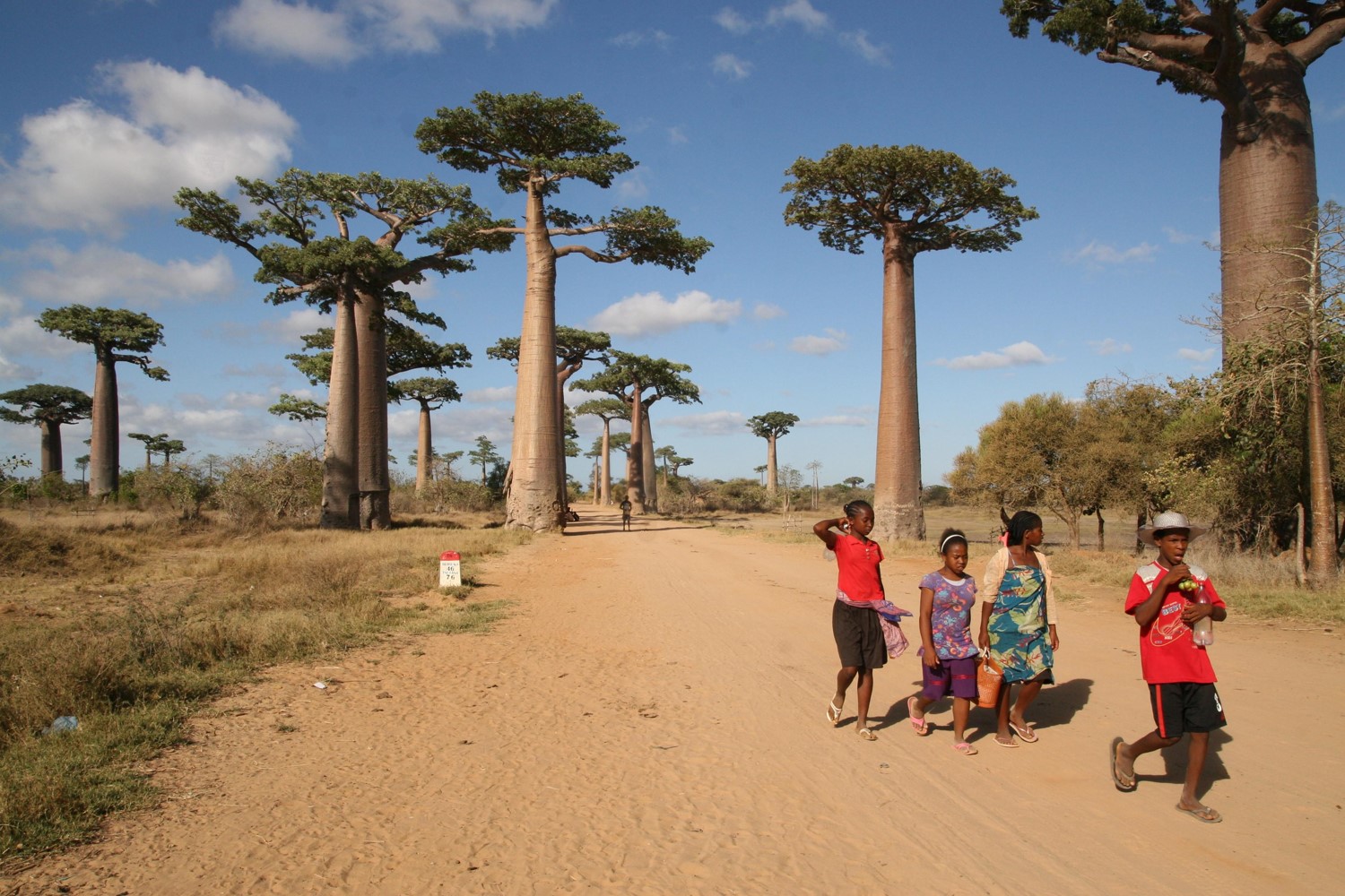 Экорегионы Мадагаскара