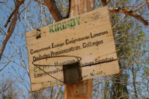 Kirindy Forest mit dem Göttinger Forschungszentrum